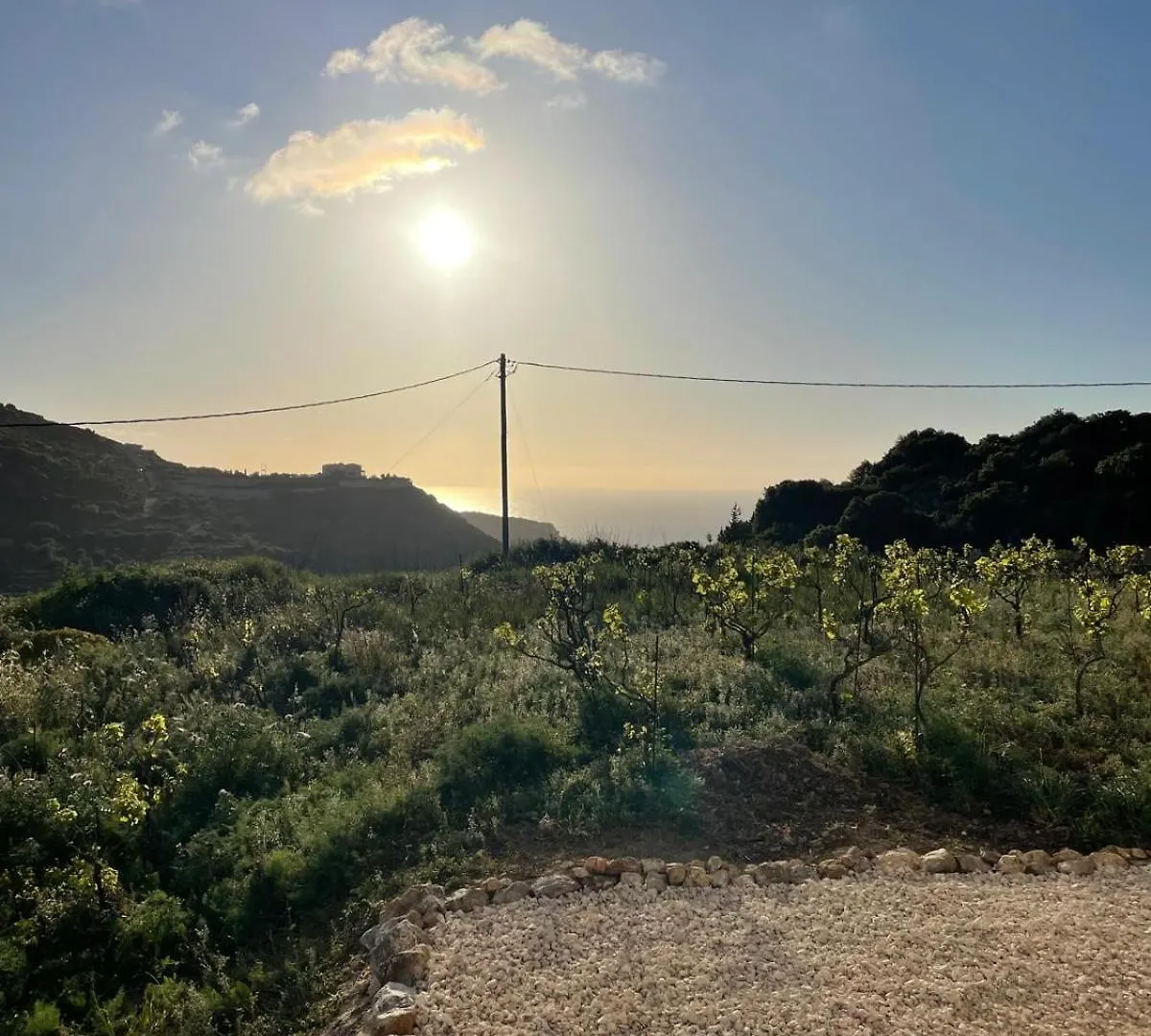 Semesterbostad Les Oliviers Villa With Sea View On Petani Beach Vóvikes Grekland