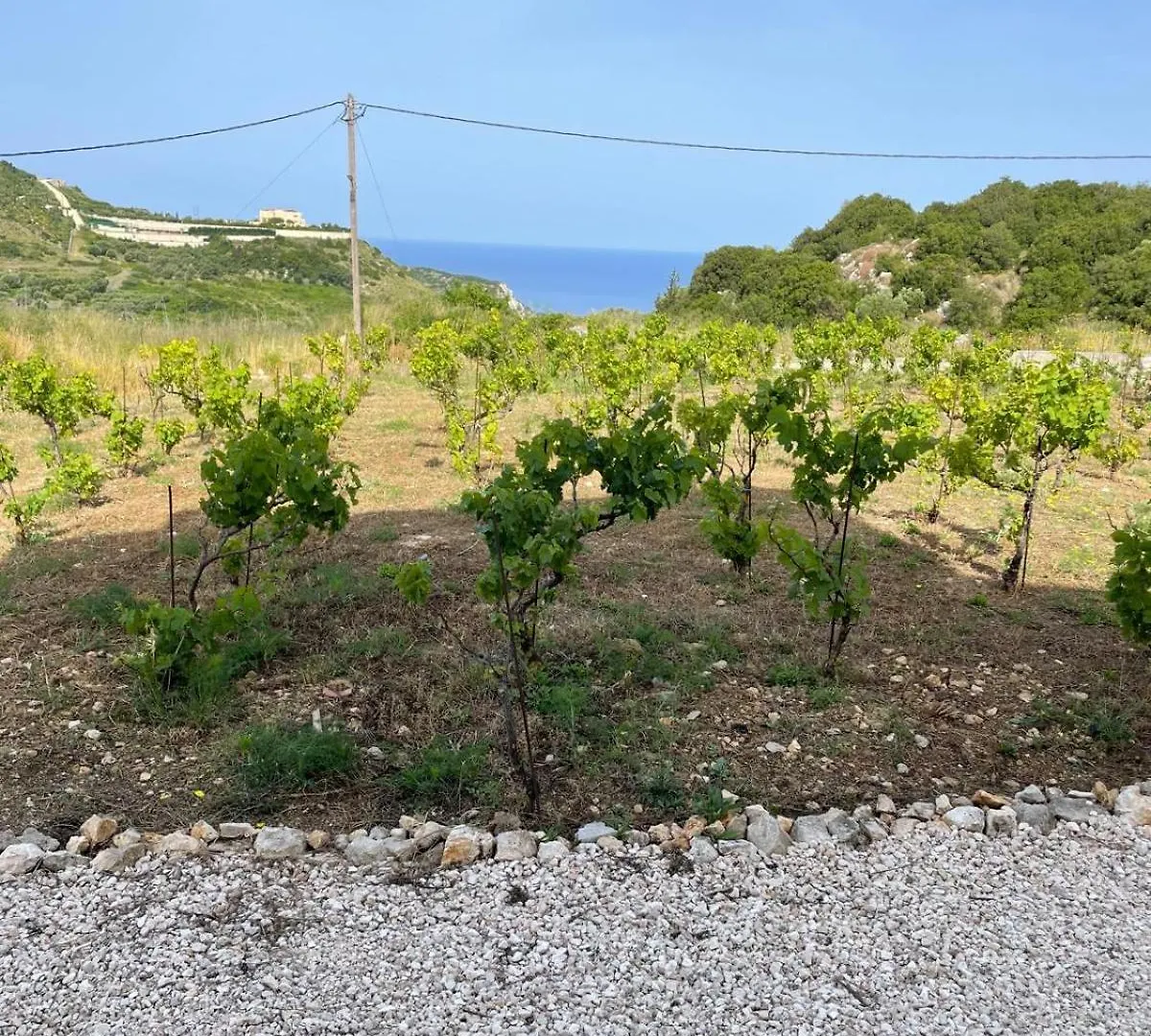 Semesterbostad Les Oliviers Villa With Sea View On Petani Beach Vóvikes
